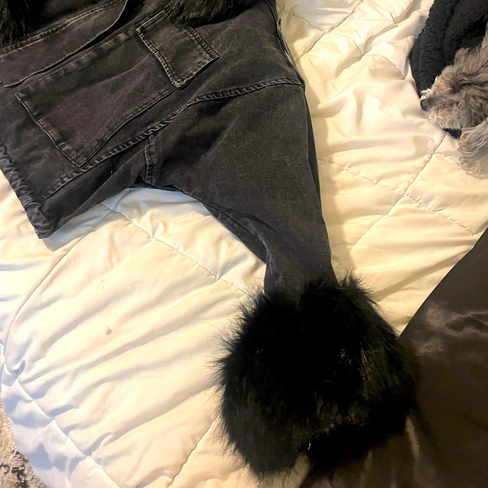Glamify Jacket - Picture 2 of 3